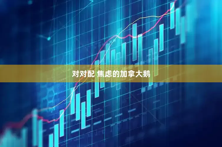 对对配 焦虑的加拿大鹅