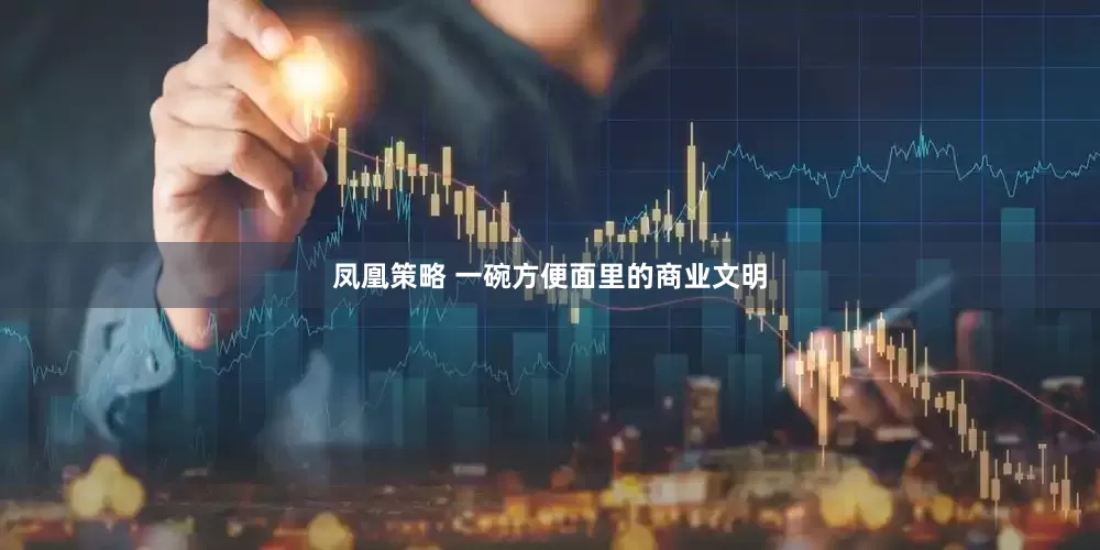凤凰策略 一碗方便面里的商业文明