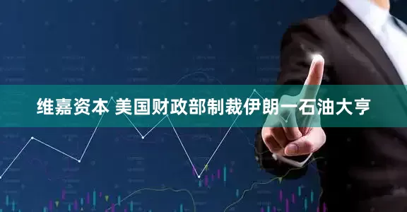 维嘉资本 美国财政部制裁伊朗一石油大亨