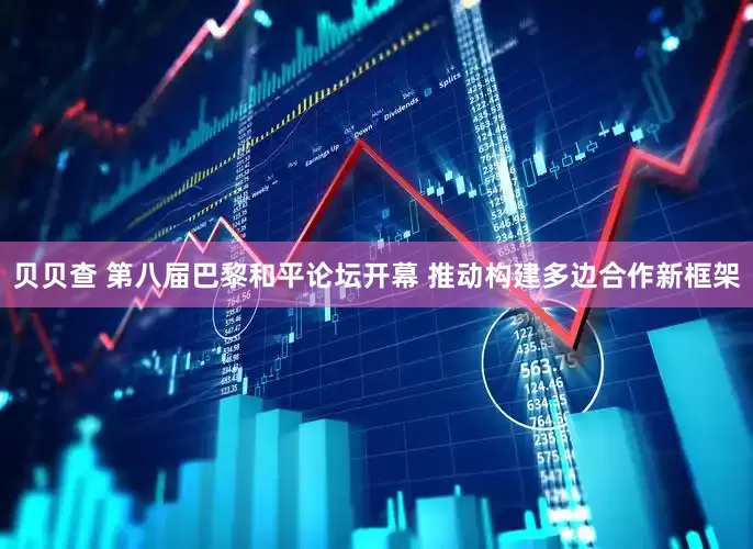 贝贝查 第八届巴黎和平论坛开幕 推动构建多边合作新框架