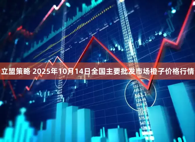 立盟策略 2025年10月14日全国主要批发市场橙子价格行情