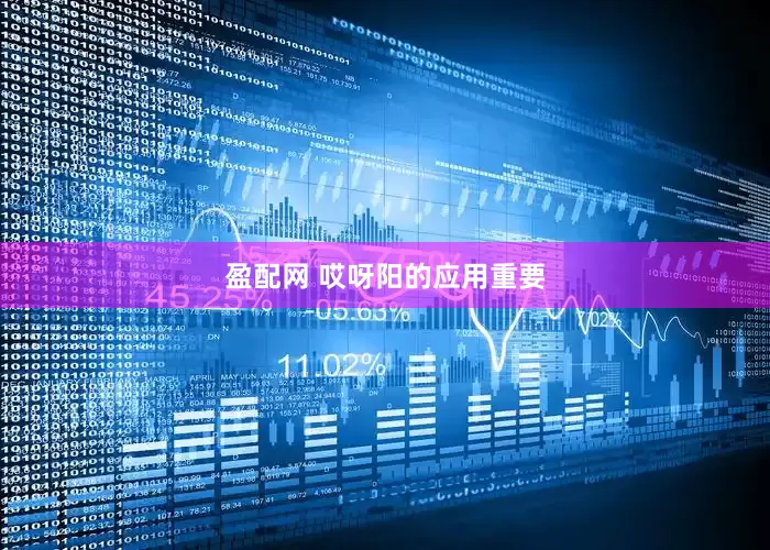 盈配网 哎呀阳的应用重要