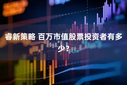 睿新策略 百万市值股票投资者有多少？