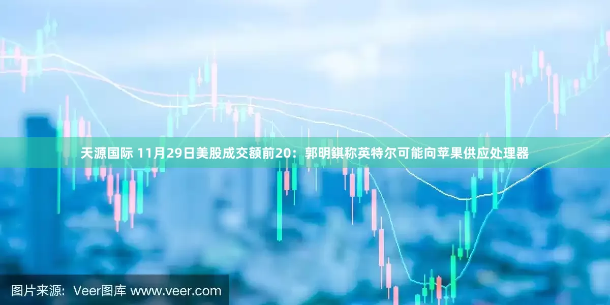 天源国际 11月29日美股成交额前20：郭明錤称英特尔可能向苹果供应处理器
