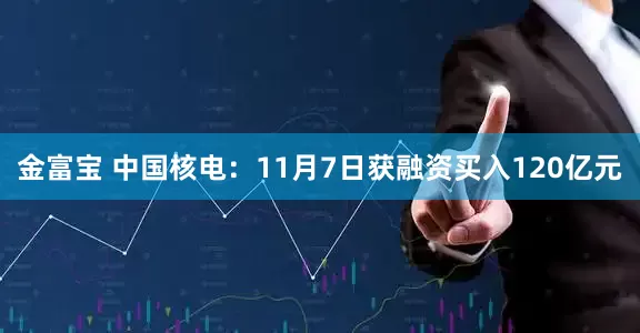 金富宝 中国核电：11月7日获融资买入120亿元