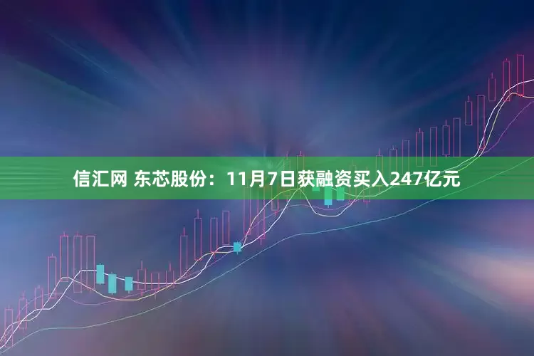 信汇网 东芯股份：11月7日获融资买入247亿元