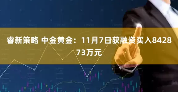 睿新策略 中金黄金：11月7日获融资买入842873万元