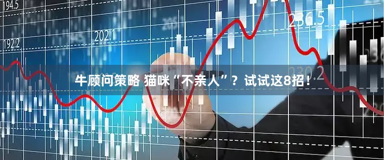 牛顾问策略 猫咪“不亲人”？试试这8招！