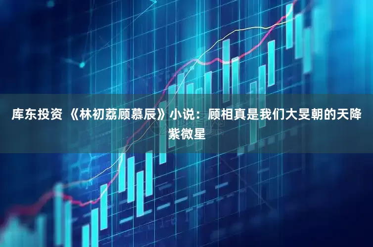 库东投资 《林初荔顾慕辰》小说：顾相真是我们大旻朝的天降紫微星